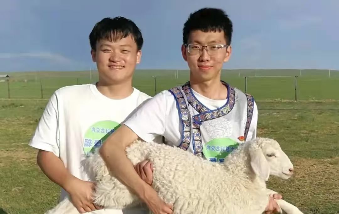 14633